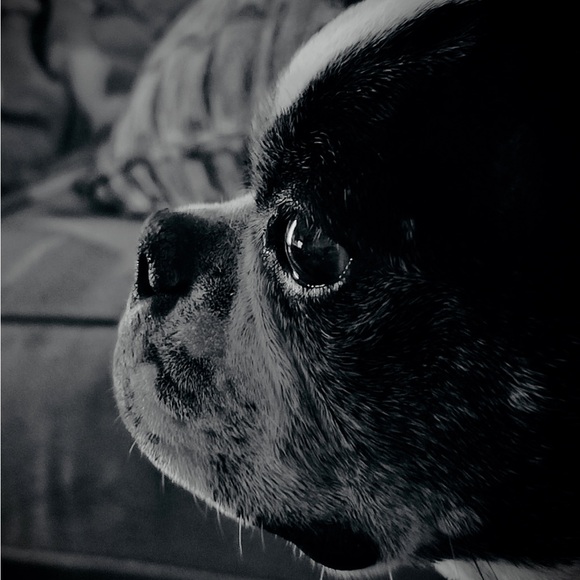 Meet your Posher, Susan - Picture 4 of 9